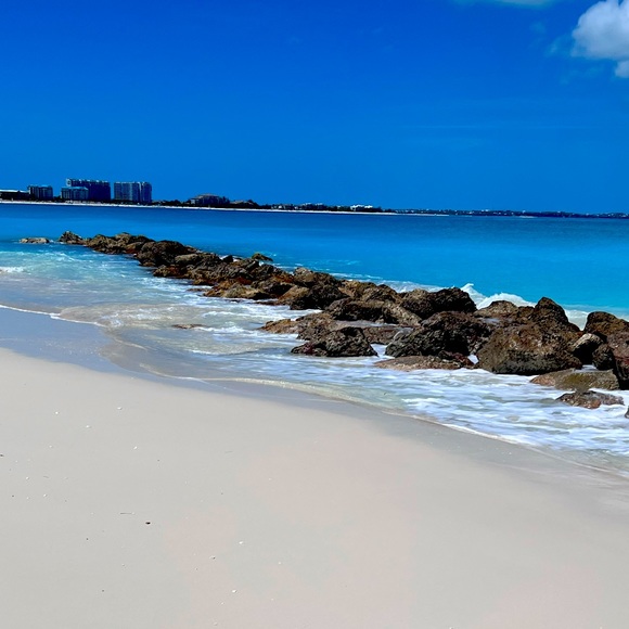 Meet your Posher, Dina - Picture 1 of 1